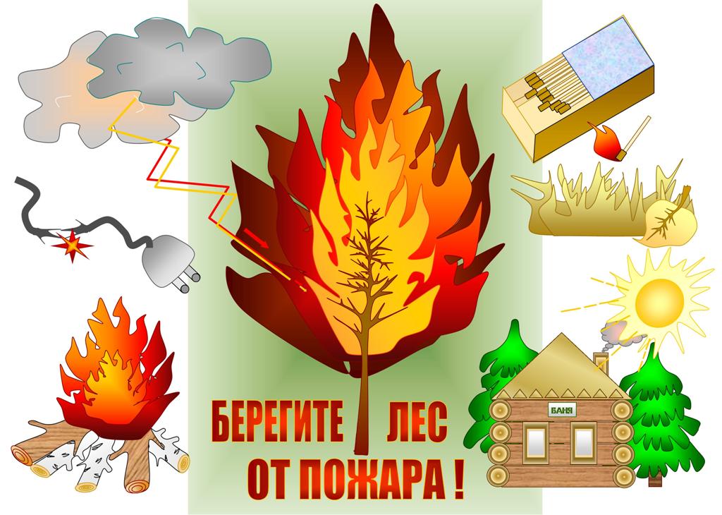 Как защитить лес от пожара презентация